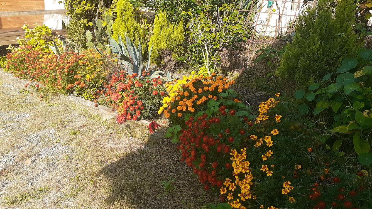 Guest House Ahan Gagra Exterior foto