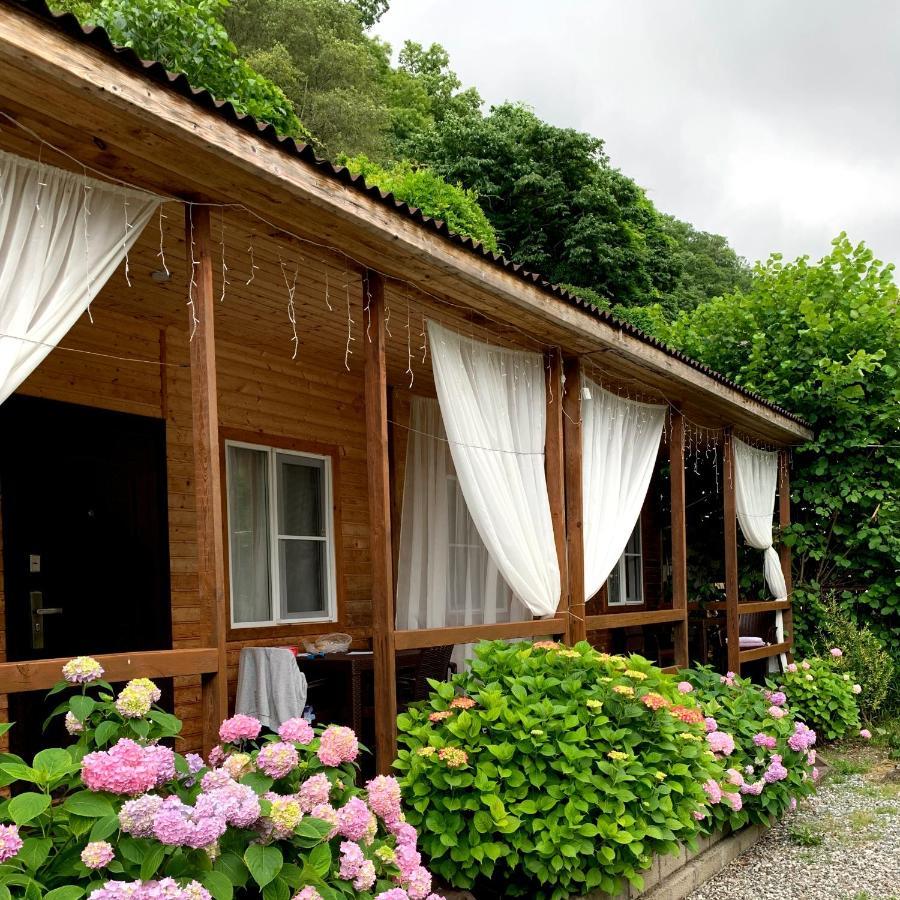 Guest House Ahan Gagra Exterior foto